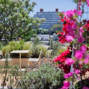 Apartamento De 2 Dormitorios En Alquiler Con Amenities