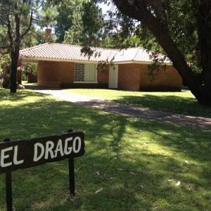 El Drago