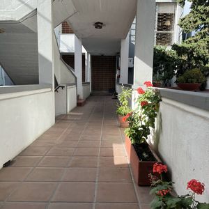 Apartamentos En Cordón