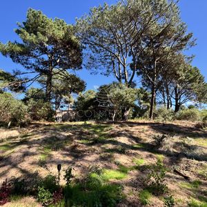 Terreno Con Container