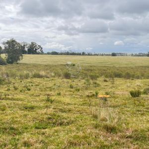Campo En Garzón