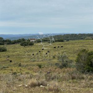 Chacra En Venta Maldonado