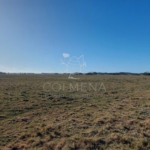Venta Campo Ideal Para Fraccionar En Chacras Codigo 6003