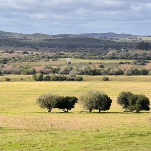 Chacra 5 Has  En Campanero Con Buena Vistas Y Camineria.