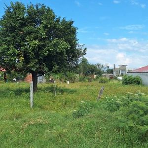 Terreno En Venta En Montero