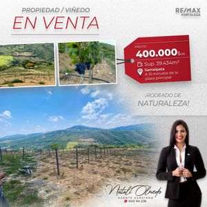 VIñedo En Venta - Samaipata