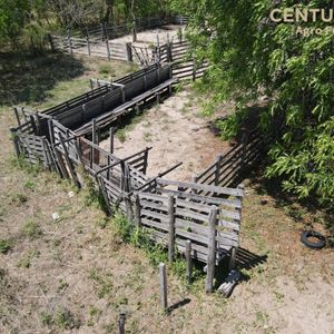 Propiedad Ganadera En San Jose De Chiquitos
