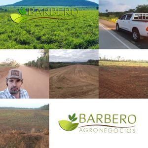 Barbero Agronegocios Vende 2200 Ha Tunas