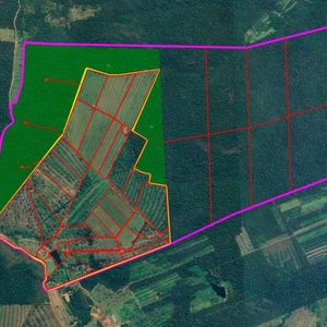 Propiedad Ganadera - Venta Concepción