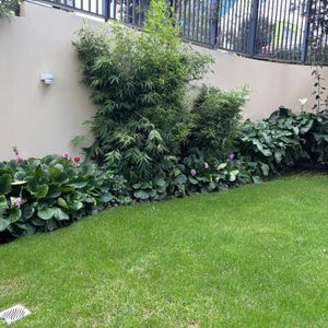 Departamento Moderno 1 Dormitorio Calacoto Calle 12