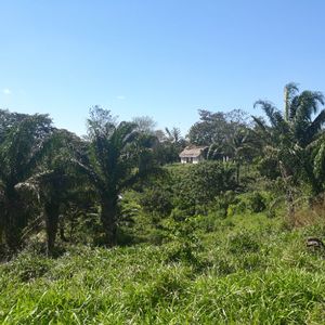 Quinta En Venta "terebinto"