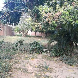 Hermoso Terreno Comercial