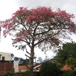 Casa De 4 Dormitorios En Venta En Mansa, Punta Del Este.