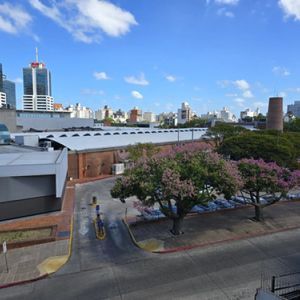 Alquiler De Apartamento 3 Dormitorios En Buceo