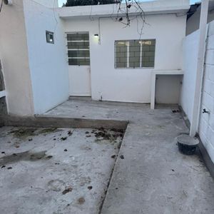 Alquiler Apartamento 1 Dormitorio Patio Enorme Malvin Norte