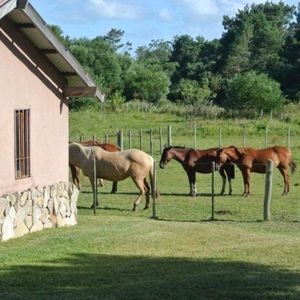 Chacra En Venta | Punta Del Diablo, Rocha