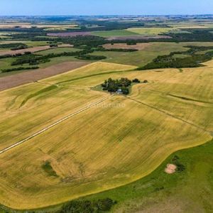 Establecimiento Agrícola Ganadero I Colonia I Ha: 224. Ic: 157.