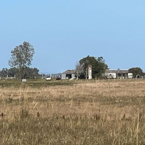 Estancia Ganadera 450 Ha En Cerro Largo