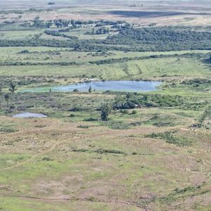 Campo Ganadero En Artigas