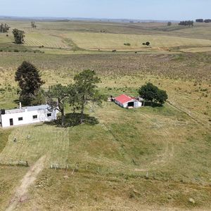 Estancia De 1750 Ha En Lavalleja
