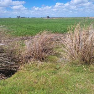 Chacras De 20 Ha En Las Garzas
