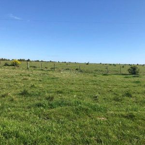 Establecimiento Agrícola Ganadero 285 Ha En San José