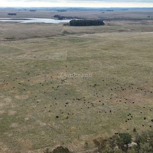 Estancia Ganadera Agrícola 1700 Ha En Treinta Y Tres