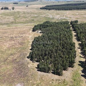 Campo Ganadero En Maldonado