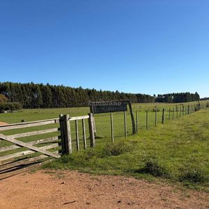 Venta Campo Durazno