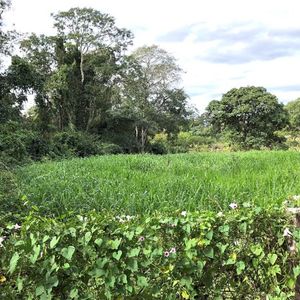 723 Hectáres (ganadería / Agricultura) En Venta