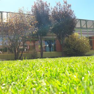 Hermoso Casa  Con Jardin