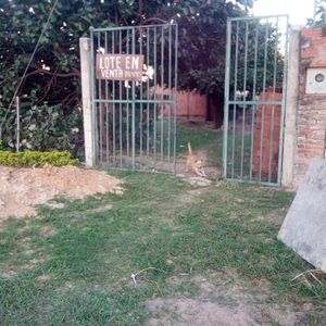Lote De Ocacion