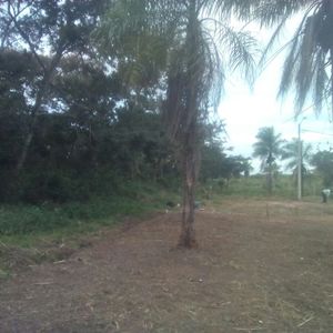 Lote De Terreno Remanzo 2