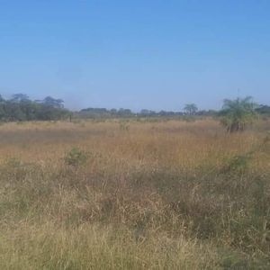 Oferta! Hectareas En Venta - Warnes 