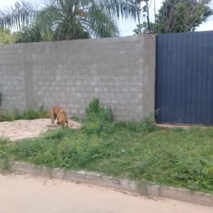 Casa Independiente En Anticretico Zona Plan 3000 