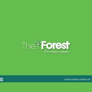The Forest