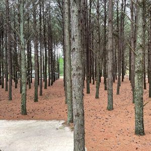 Terreno En Barrio Privado El Faro - Carmelo