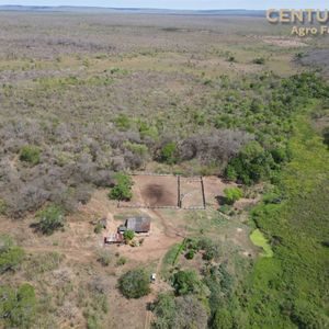 Propiedad Ganadera En San Jose De Chiquitos