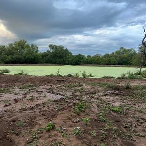 Inmueble # 398  Propiedad De 2028 Hectareas En Boyuibe 