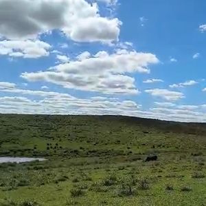 Venta Campo En Lavalleja