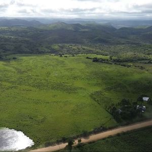 Campo 221 Há Caza Mayor Y Turismo Sobre Ruta 98 — Sierra, Agua Y Luz — Treinta Y Tres