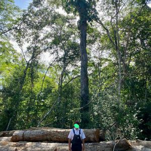 En Venta: 7.500 Hectáreas A Aprox. 110 Kms Al Norte De Tapera