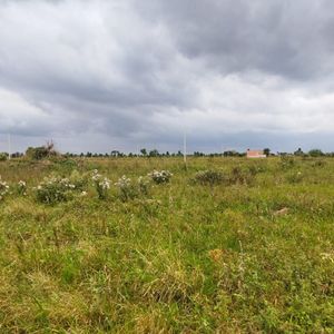 Lote En Venta En Santa Cruz - Pentaguazu 4