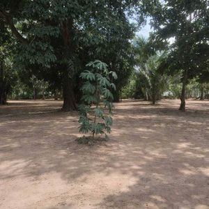 Terreno En Venta – Zona Norte Warnes