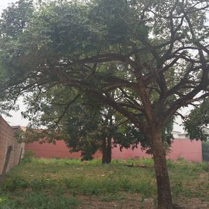 Terreno En Venta El Quior Plan 3000