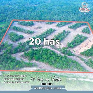 Terreno En Venta En El Urubo, 20 Hectareas