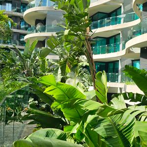 Alquiler Apartamento Forum Pocitos 1 Dormitorio
