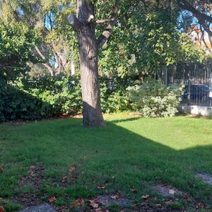 Casa Para Reciclar Padron Unico