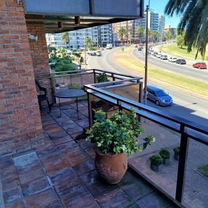 Venta Bajo! Exclusiva Planta Frente Al Puerto Del Buceo