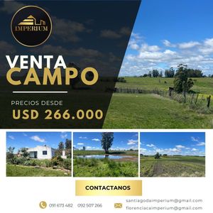 Venta Chacra En San Jacinto Canelones